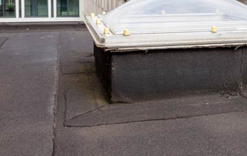 disadvantages of Noyadd Trefawr flat roofs
