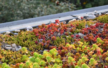 the cost of Noyadd Trefawr green roof installation