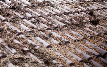 Noyadd Trefawr roof cleaning companies