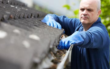cleaning and inspecting Noyadd Trefawr roofs