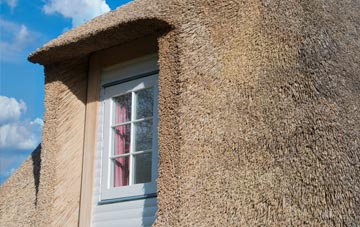 Noyadd Trefawr thatch roof disadvantages